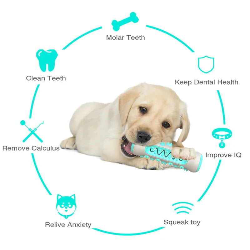 Dog Toothbrush Chew Toy
