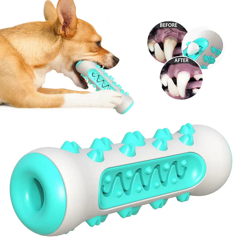 Dog Toothbrush Chew Toy