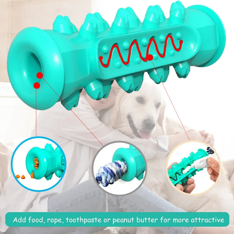 Dog Toothbrush Chew Toy