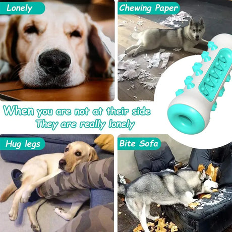 Dog Toothbrush Chew Toy