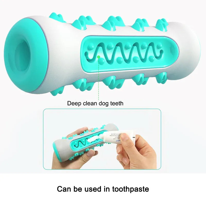 Dog Toothbrush Chew Toy