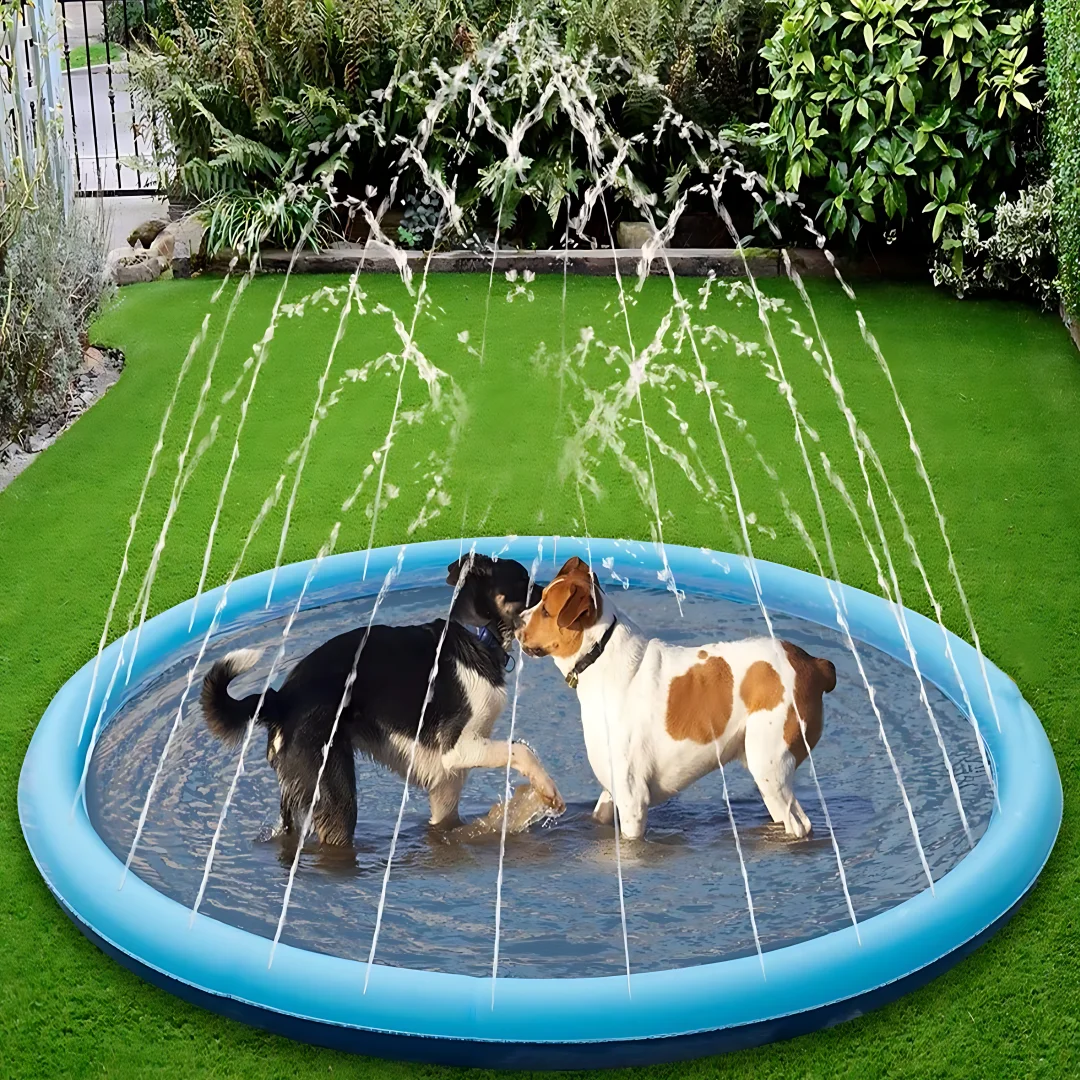 Pet Swimming Pool