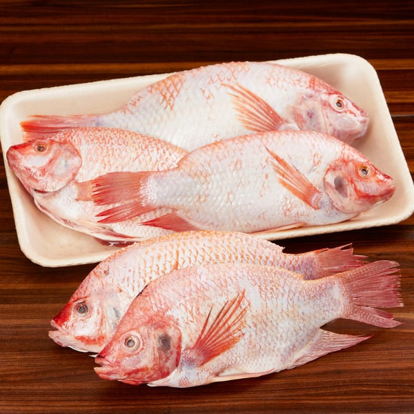 Kirkland Signature Fresh Farmed Whole Tilapia